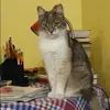 Отзыв от Дарья Зотова